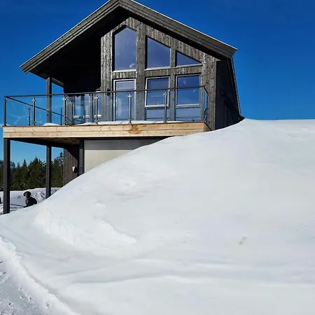 Modern By Sveavannet In Nordmarka *